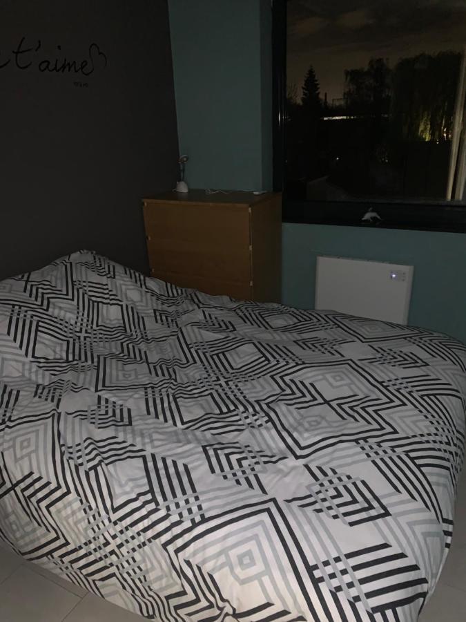 Okapi Apartment ฮาลเลอ ภายนอก รูปภาพ