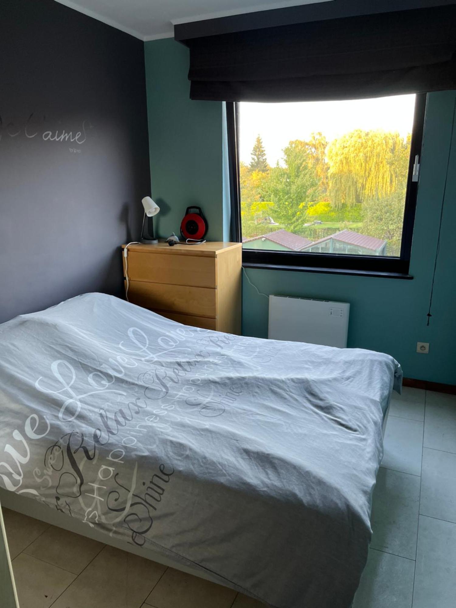 Okapi Apartment ฮาลเลอ ภายนอก รูปภาพ