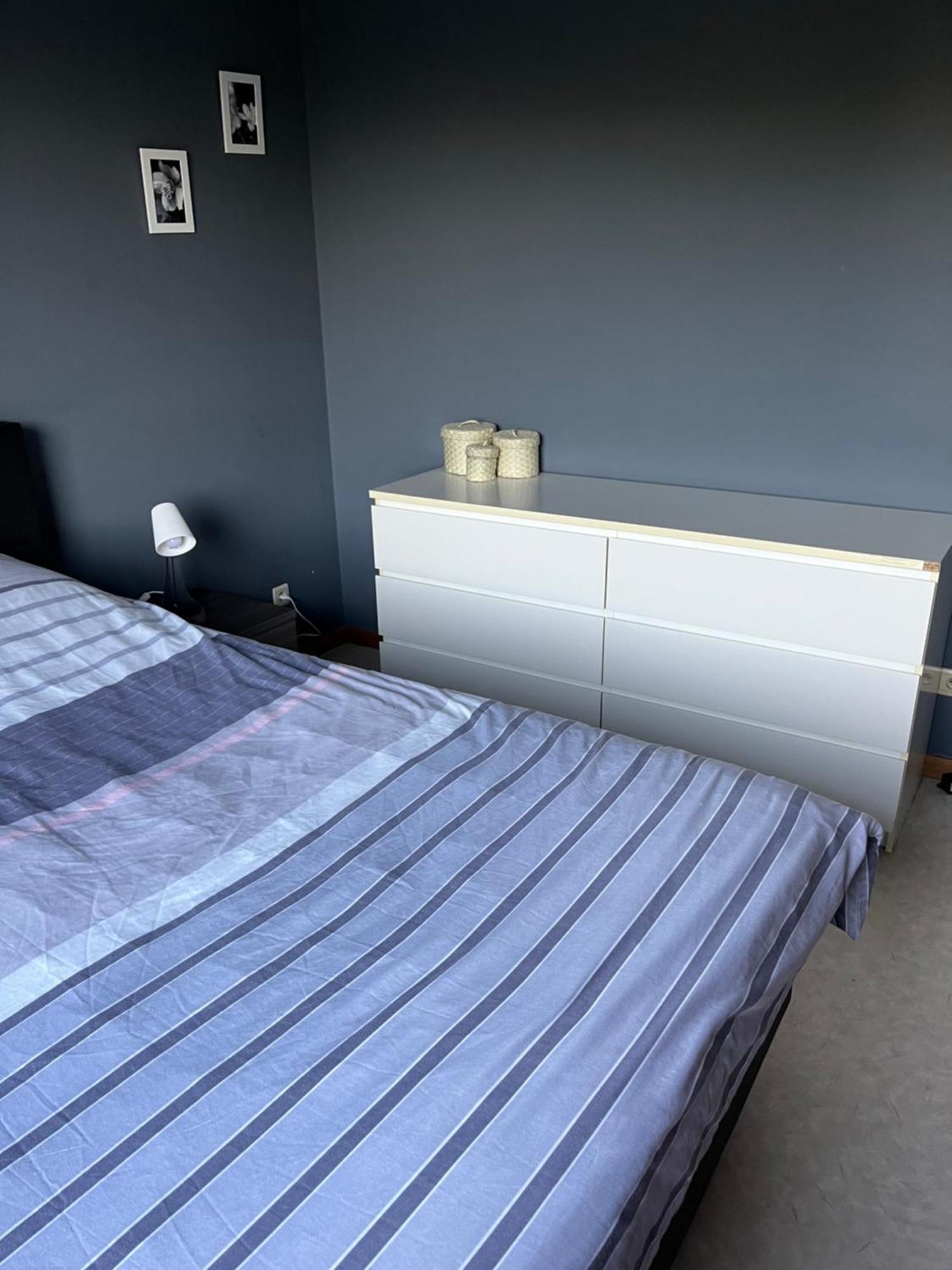Okapi Apartment ฮาลเลอ ภายนอก รูปภาพ